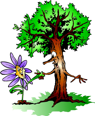 Arbol y flor