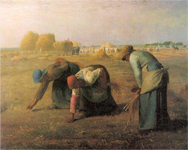 millet