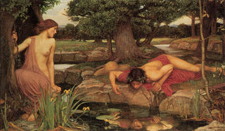 Eco y Narciso