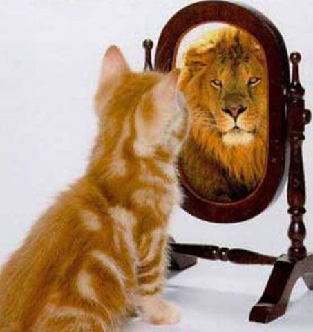 El tigre en el espejo