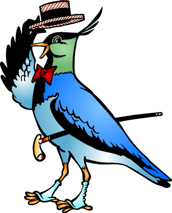 Pajaro con  sombrero de plumas